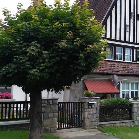 Appartamento Byt - Apartman Větřní Esterno foto