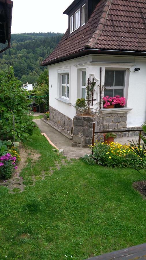 Appartamento Byt - Apartman Větřní Esterno foto